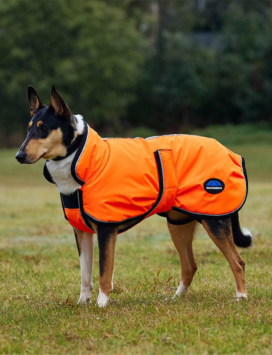 image_main - Orange - WeatherBeeta ComFiTec Reflective 300D Deluxe Showerproof Dog Coat - .jpg