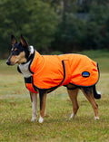 image_main - Orange - WeatherBeeta ComFiTec Reflective 300D Deluxe Showerproof Dog Coat - .jpg