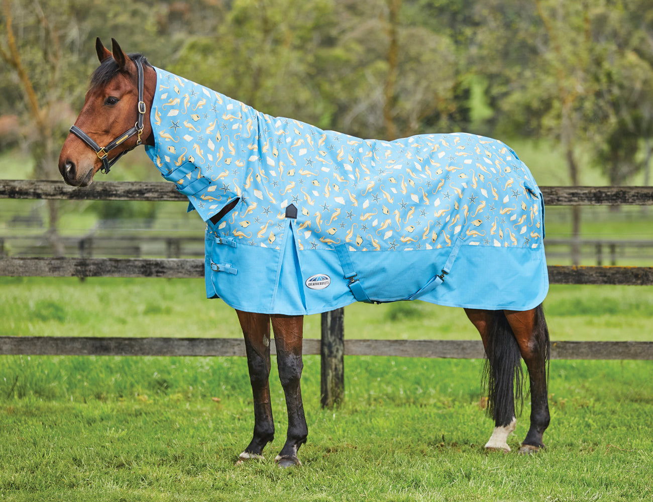 WeatherBeeta ComFiTec Essential Combo Neck Lite