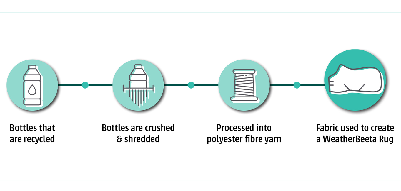 Bottles Infograph