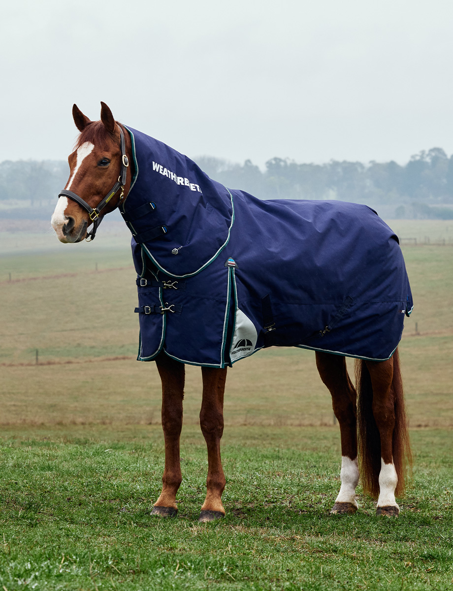 ComFiTec Plus Dynamic Turnout Detach-A-Neck 0G