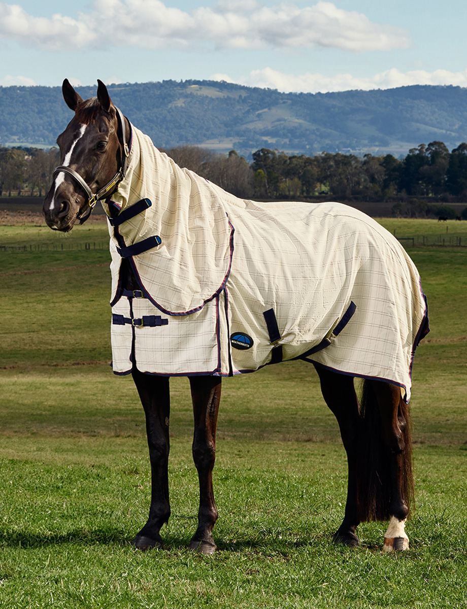 Cotton Summer Sheet Combo