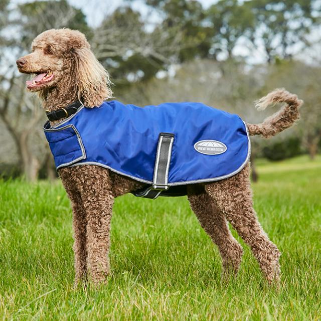 WeatherBeeta ComFiTec Windbreaker Free Dog Coat Dark Blue/Grey/White