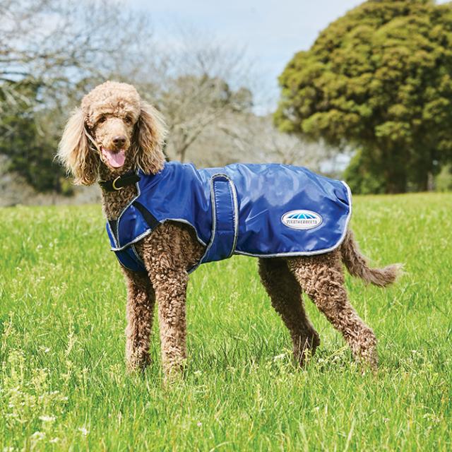 Cosy meadow shop dog harness