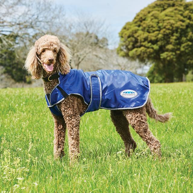 WeatherBeeta ComFiTec Windbreaker Free Deluxe Dog Coat Dark Blue/Grey/White