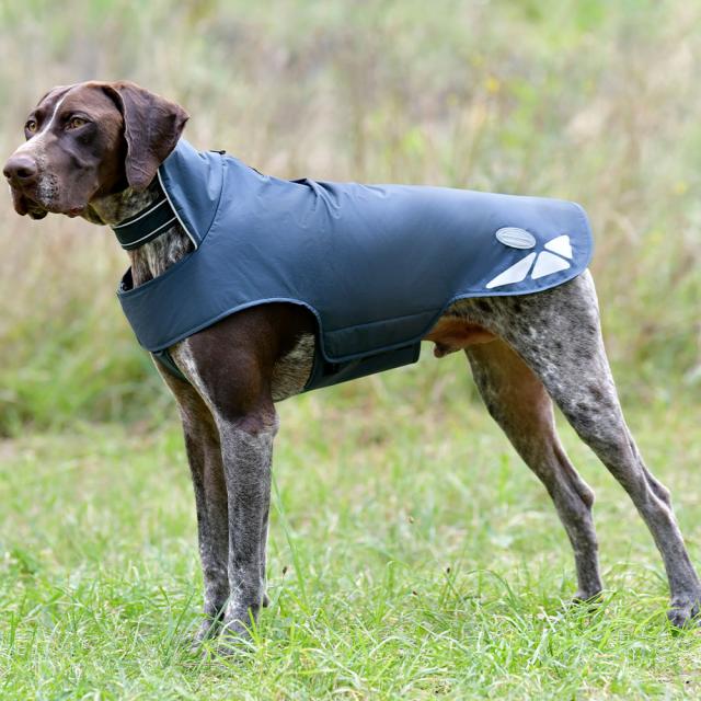 NEW WEATHERBEETA EXPLORER LITE DOG COAT Weatherbeeta New Zealand