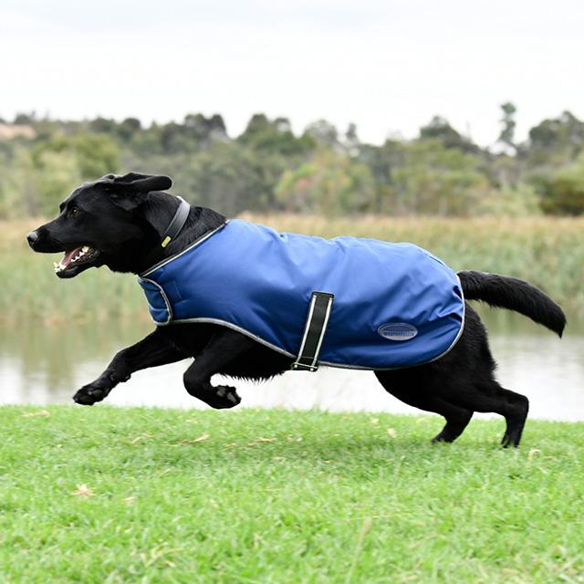 WeatherBeeta Dog Products