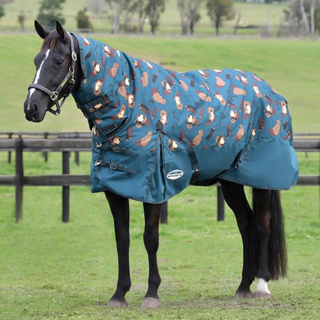 WeatherBeeta Turnout Rugs