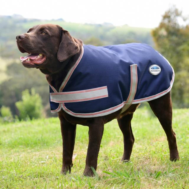 WeatherBeeta ComFiTec Essential Plus Parka Dog Coat