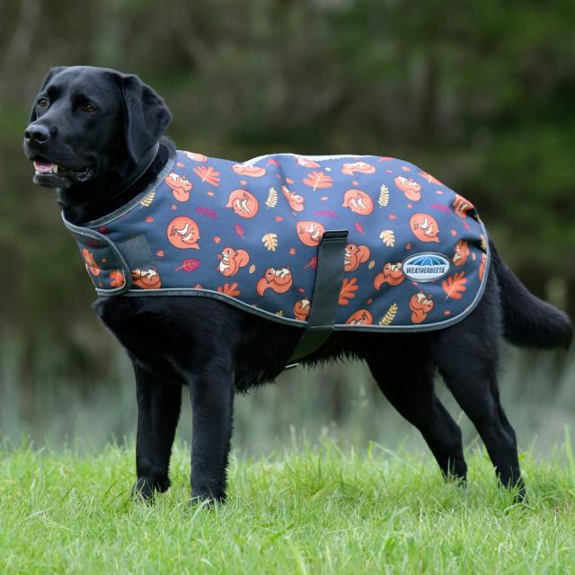 WeatherBeeta ComFiTec Premier Free Parka Dog Coat Medium