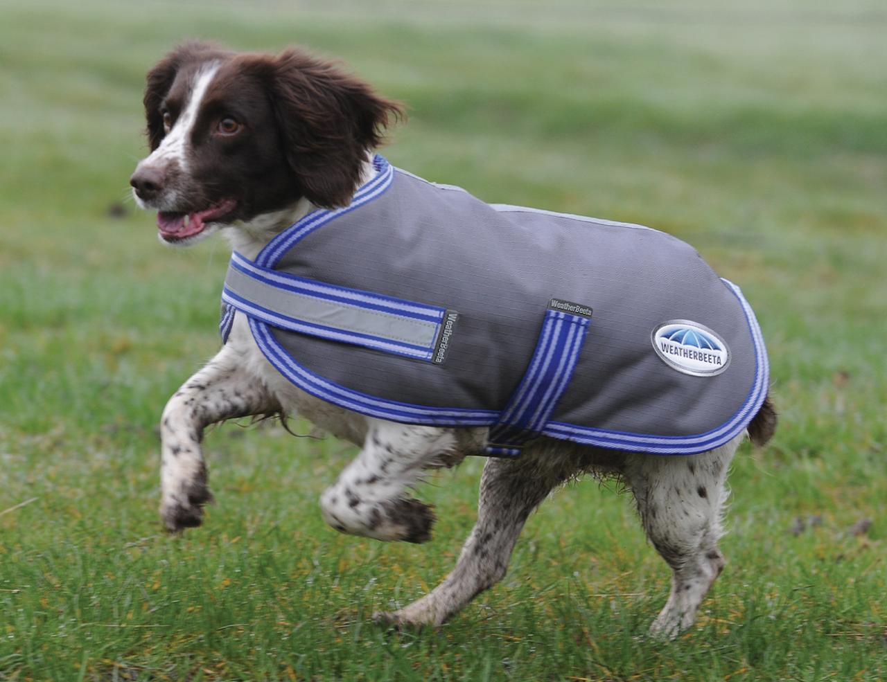 Weatherbeeta thermic sales dog coat