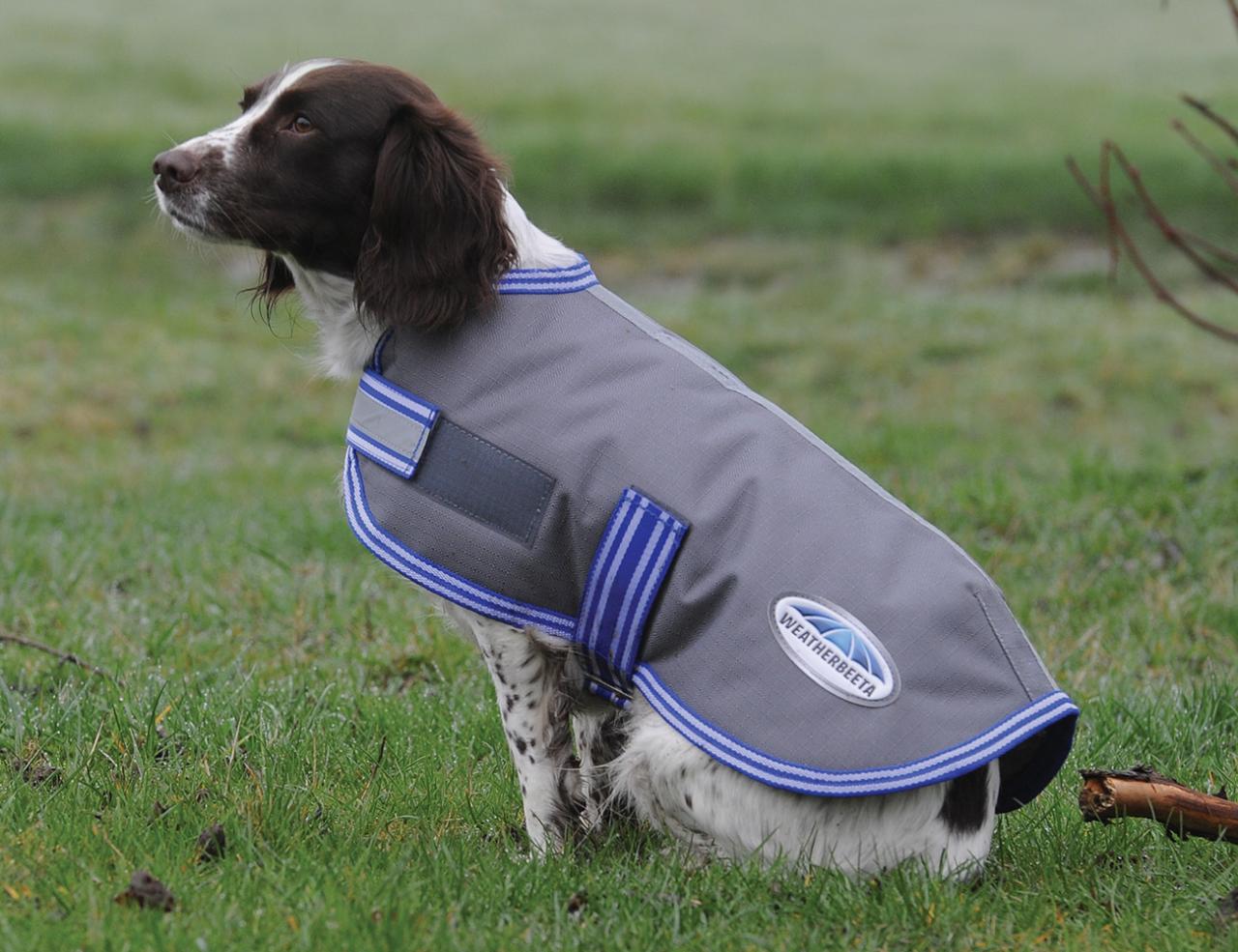 Weatherbeeta thermic dog coat hot sale