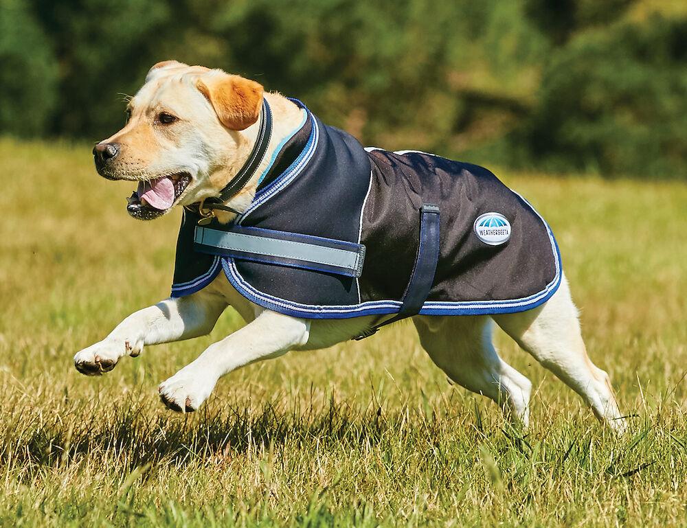 Weatherbeeta parka 1680d dog outlet coat