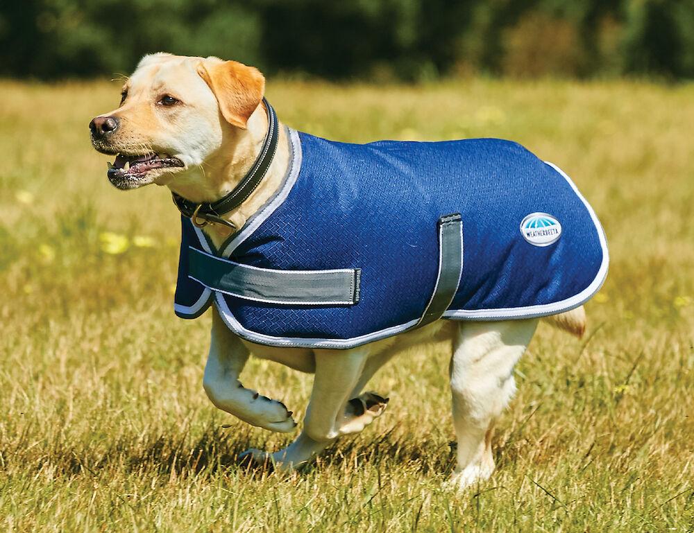 WEATHERBEETA COMFITEC PARKA 1200D DOG COAT Weatherbeeta New