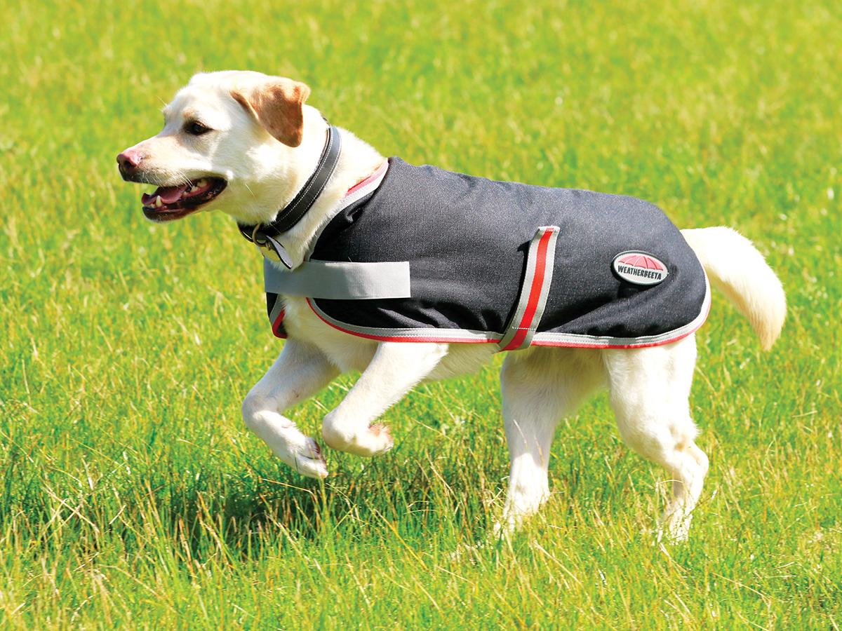 WeatherBeeta ComFiTec 1200D TherapyTec Dog Coat Weatherbeeta New