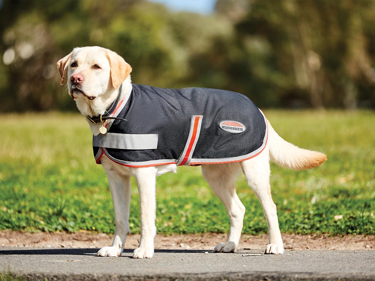 New Weatherbeeta Comfitec 1200d Therapy Tec Dog Coat Weatherbeeta New Zealand