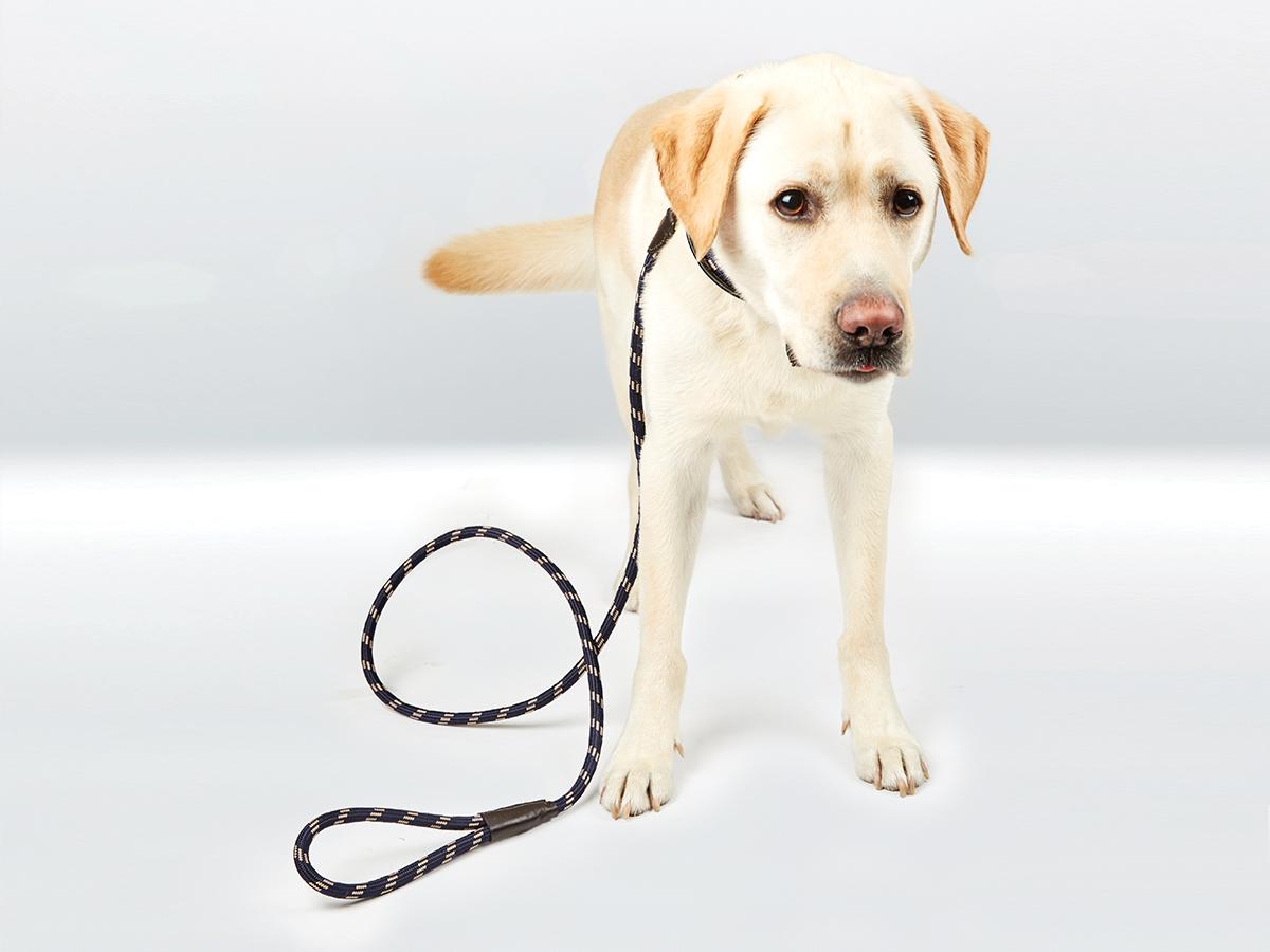 Weatherbeeta Rope Leather Dog Collar 