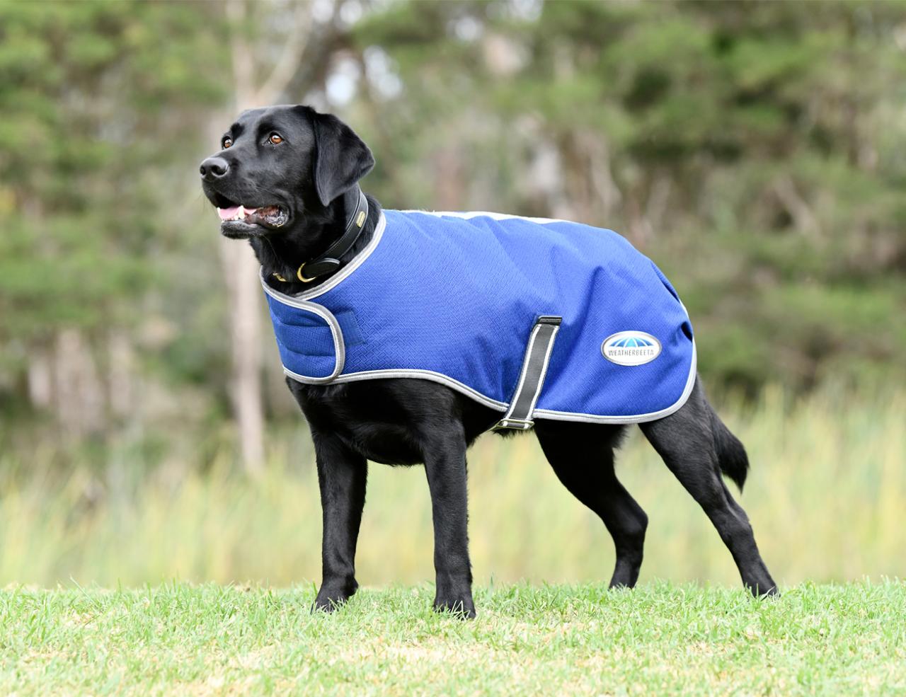 Weatherbeeta parka shop 1200d dog coat