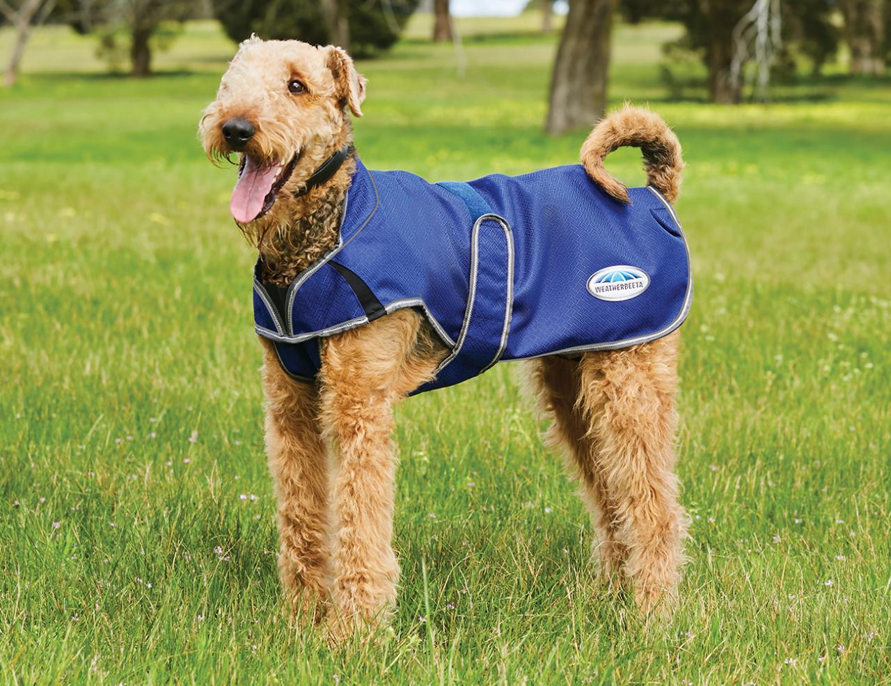 WeatherBeeta ComFiTec Premier Free Parka Deluxe Dog Coat Weatherbeeta