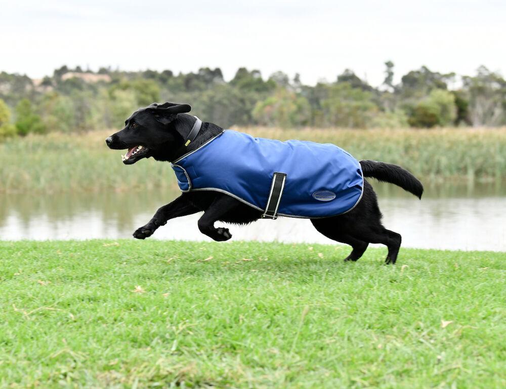 Weatherbeeta windbreaker cheap