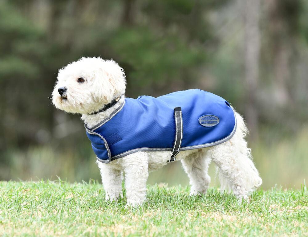 Horseland dog coats cheap