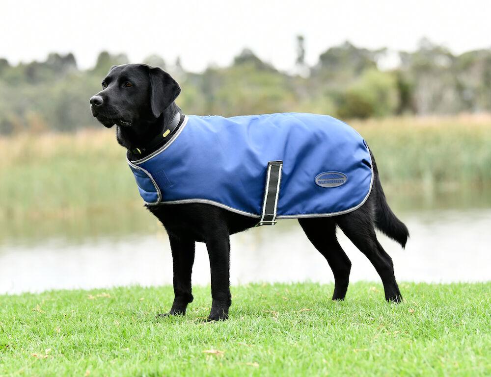 Weatherbeeta dog coat 2025 sale