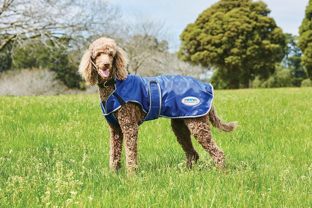WeatherBeeta ComFiTec Windbreaker Free Deluxe Dog Coat Weatherbeeta New Zealand