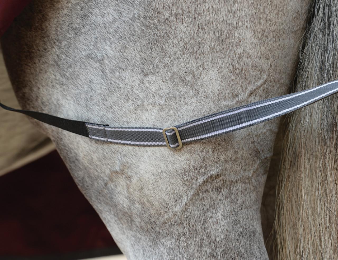 Weatherbeeta ComFiTec Plus Dynamic II Detach-A-Neck Medium/Lite 100g