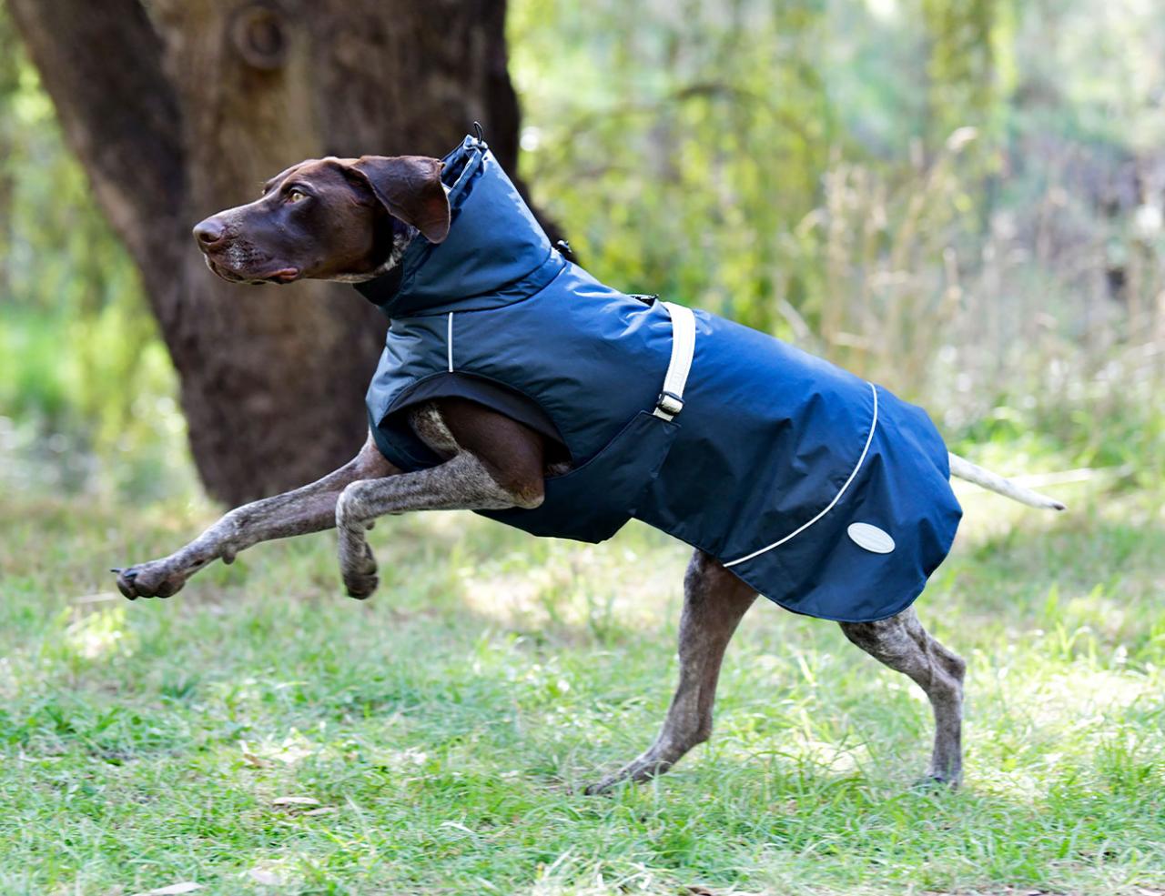 NEW WEATHERBEETA EXPLORER MEDIUM DOG COAT Weatherbeeta New Zealand