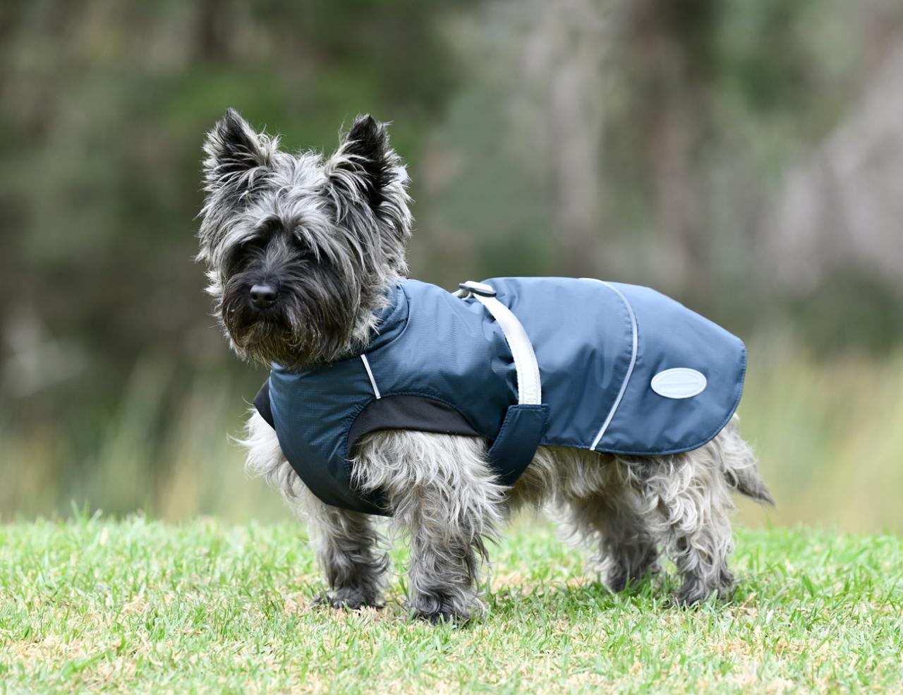 NEW WEATHERBEETA EXPLORER MEDIUM DOG COAT Weatherbeeta New Zealand