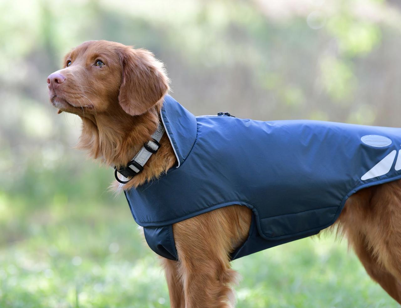 NEW WEATHERBEETA EXPLORER LITE DOG COAT Weatherbeeta New Zealand