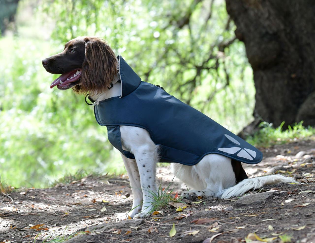 NEW WEATHERBEETA EXPLORER LITE DOG COAT Weatherbeeta New Zealand