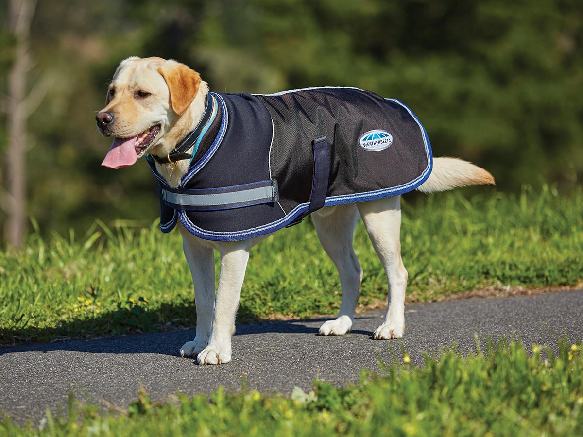 Weatherbeeta Comfitec Parka 1680d Dog Coat Weatherbeeta New Zealand