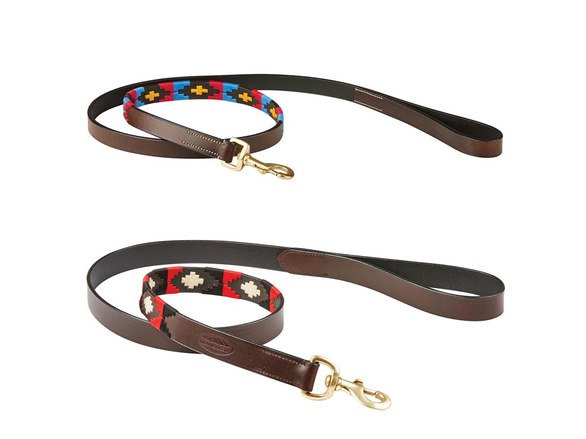 polo dog lead