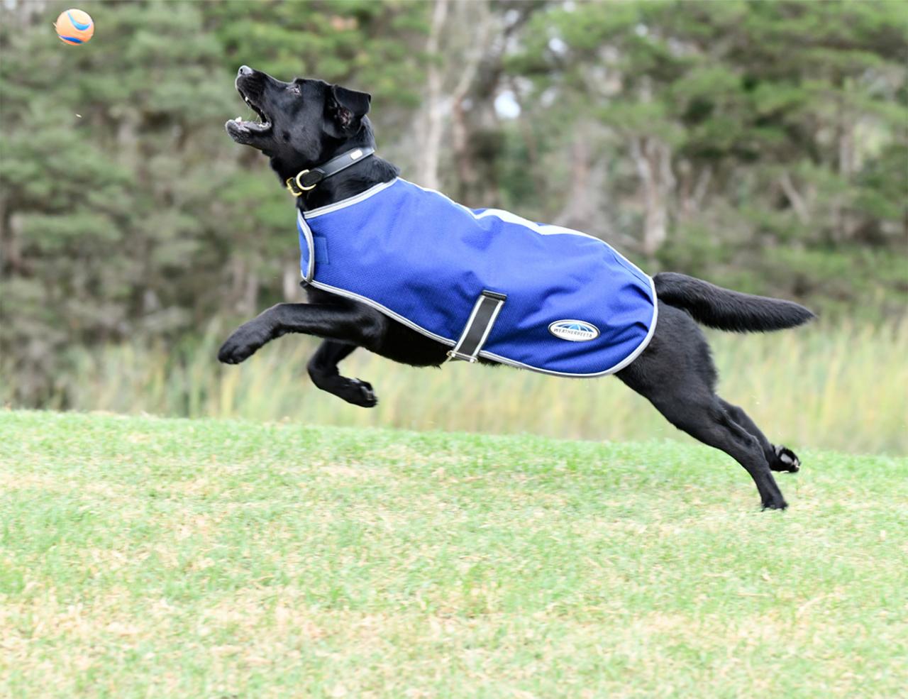 WEATHERBEETA COMFITEC PREMIER FREE PARKA DOG COAT Weatherbeeta New