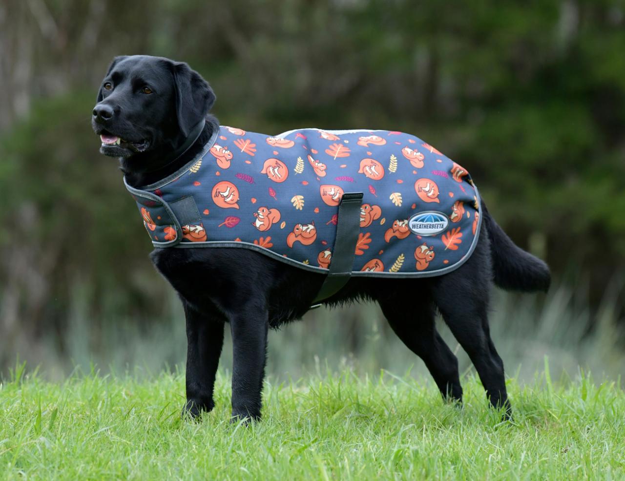 WEATHERBEETA COMFITEC PREMIER FREE PARKA DOG COAT MEDIUM Weatherbeeta New Zealand