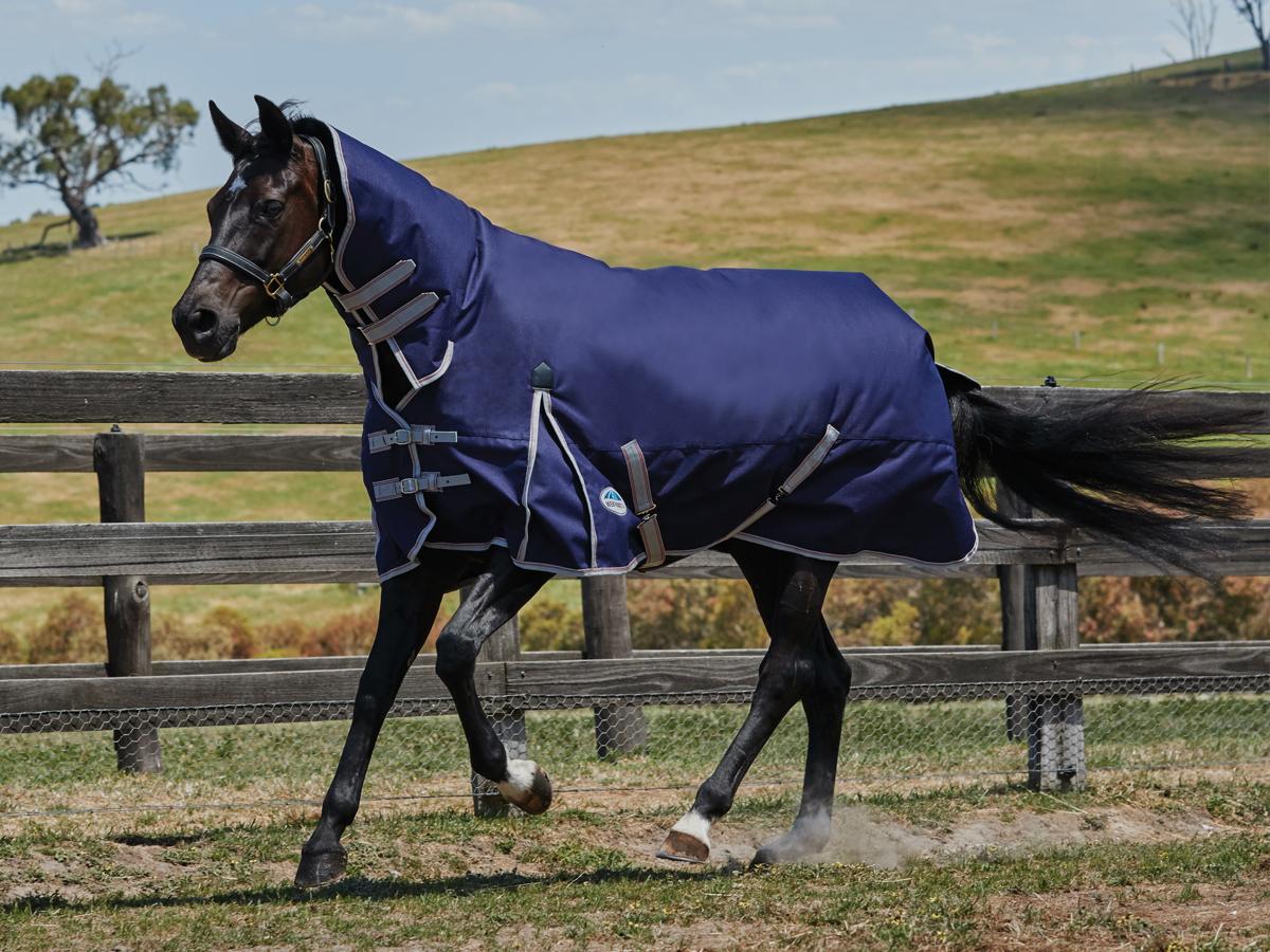 Natural Horse Products Nz Natural Horse Products Nz