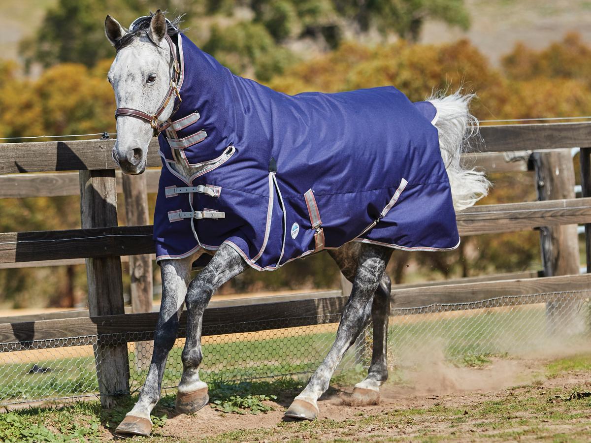 Weatherbeeta Comfitec Essential Combo Medium Wide Weatherbeeta New Zealand