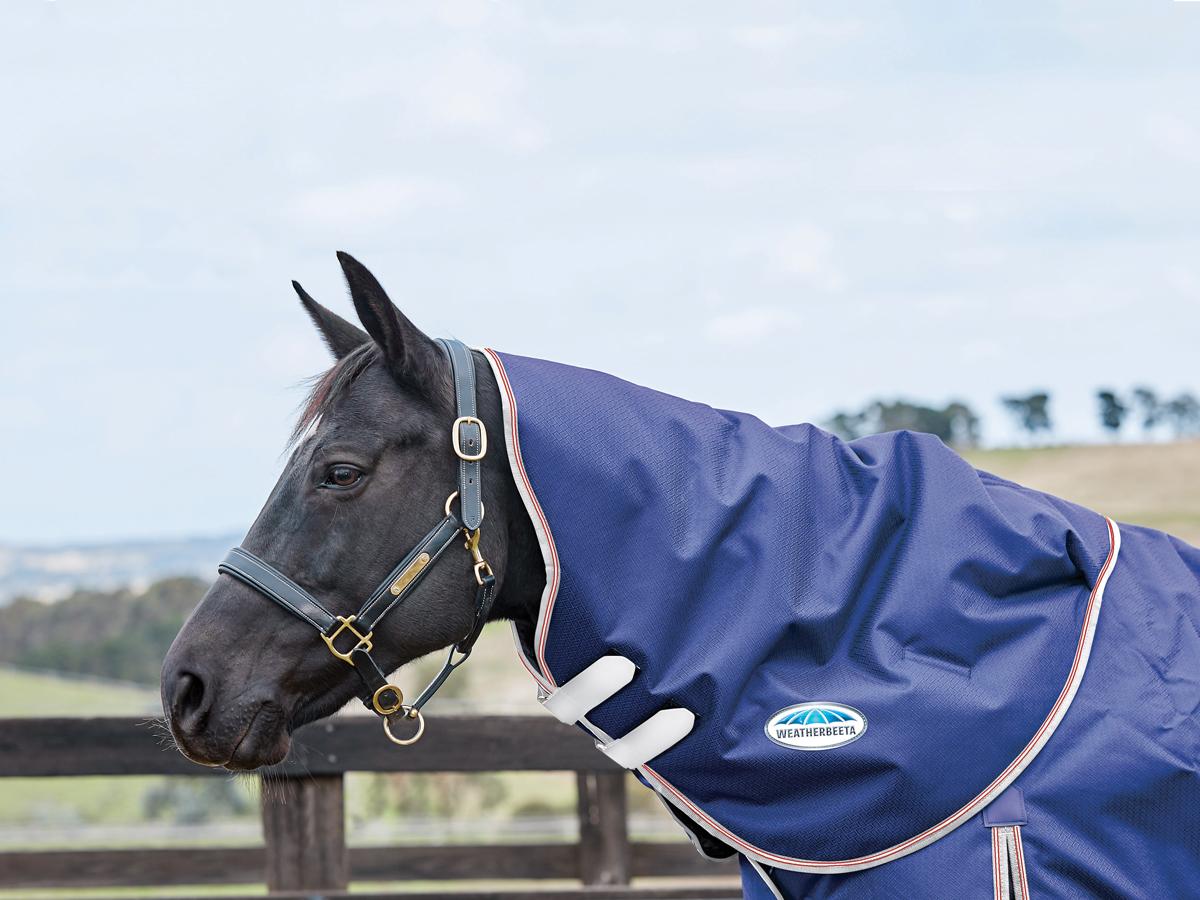 Weatherbeeta Comfitec Essential Neck Rug Lite Weatherbeeta New Zealand