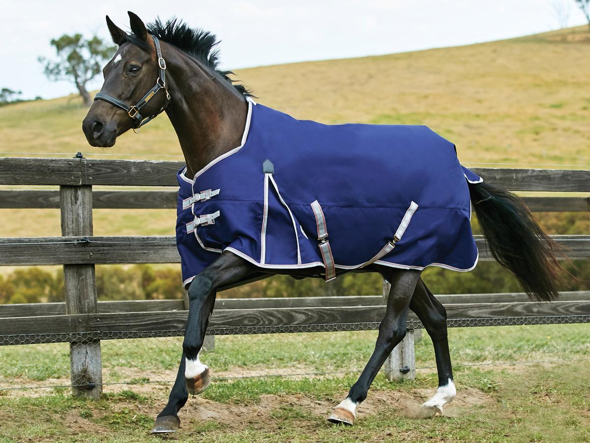 Weatherbeeta Comfitec Essential Standard Neck Lite Plus Weatherbeeta New Zealand