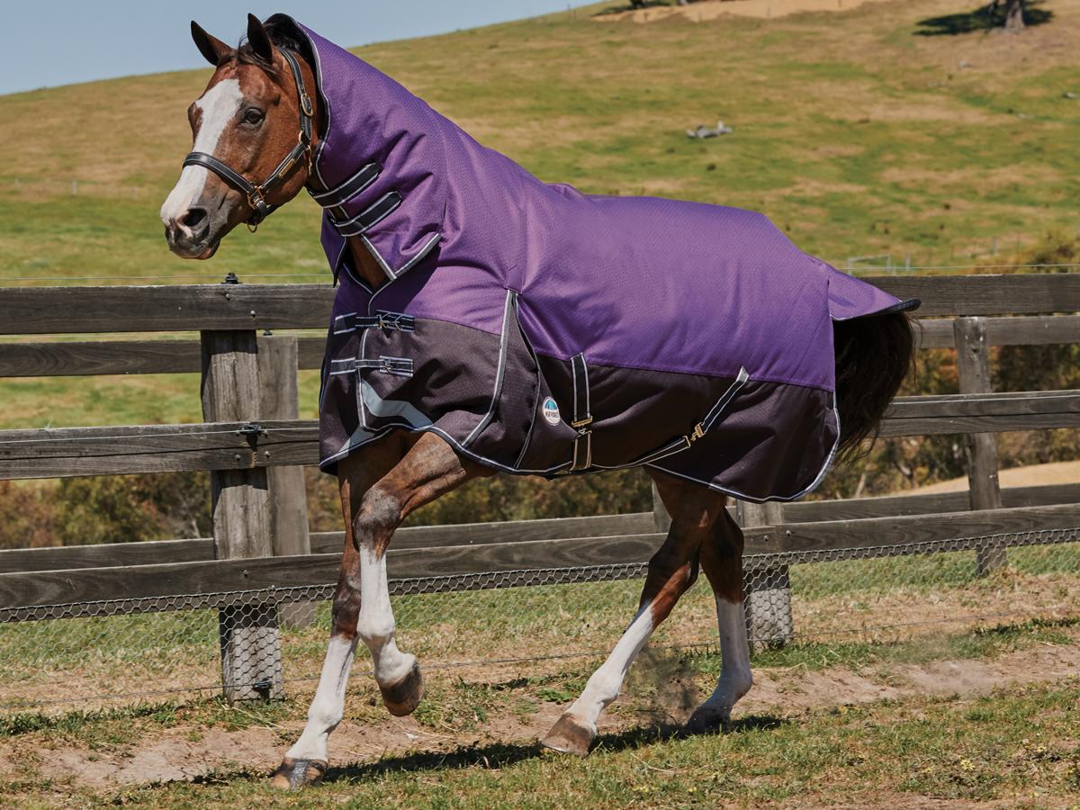 Weatherbeeta Comfitec Plus Dynamic Combo Medium Lite Weatherbeeta New Zealand