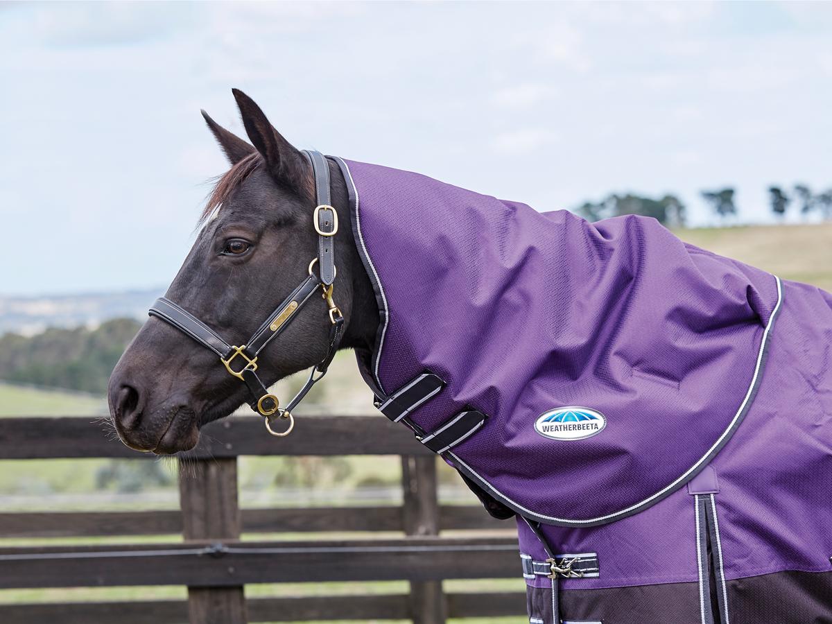 Weatherbeeta Comfitec Plus Dynamic Neck Rug Medium Lite Weatherbeeta New Zealand