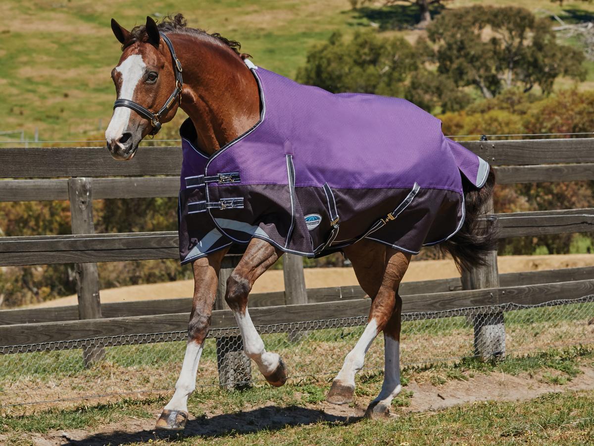 Weatherbeeta Comfitec Plus Dynamic Standard Neck Medium Lite Weatherbeeta New Zealand