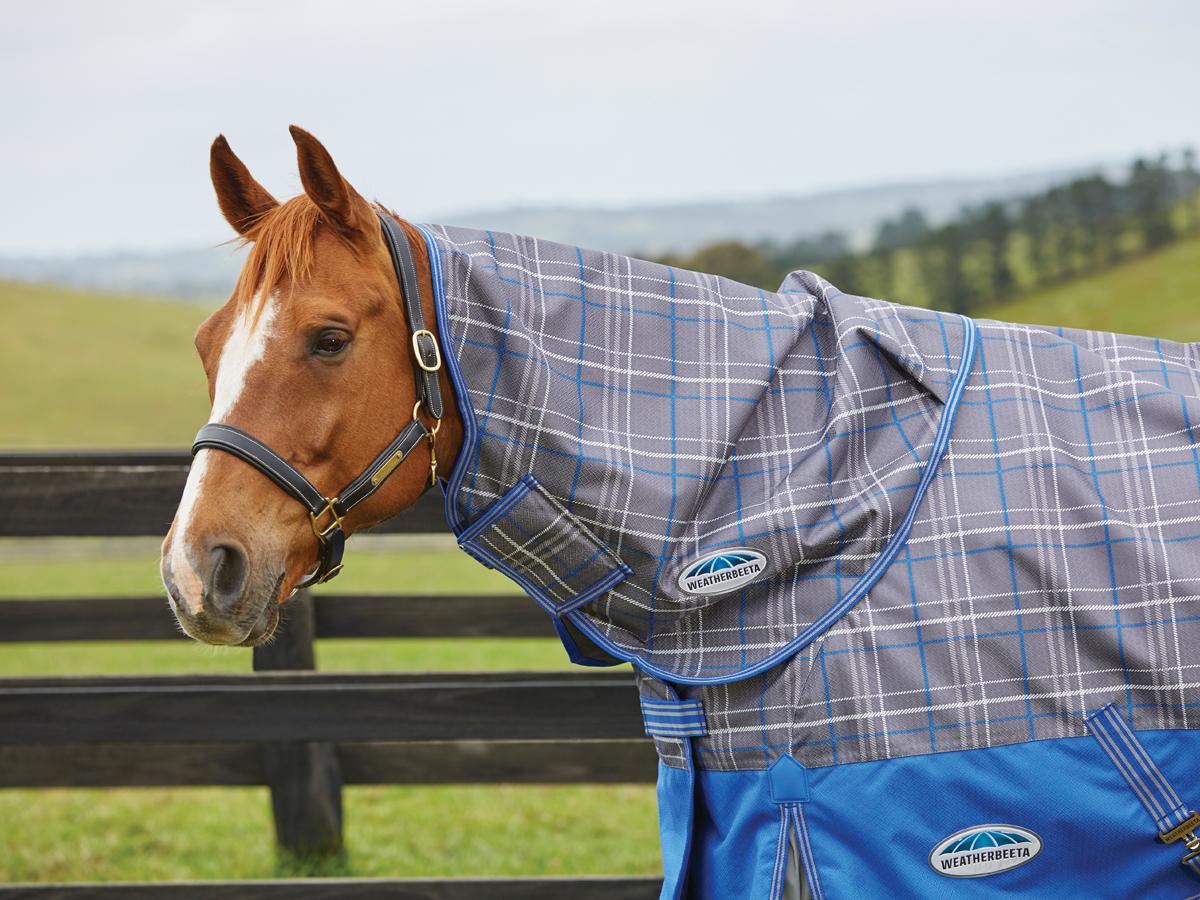 Weatherbeeta Comfitec Premier Free Neck Rug Medium Weatherbeeta New Zealand