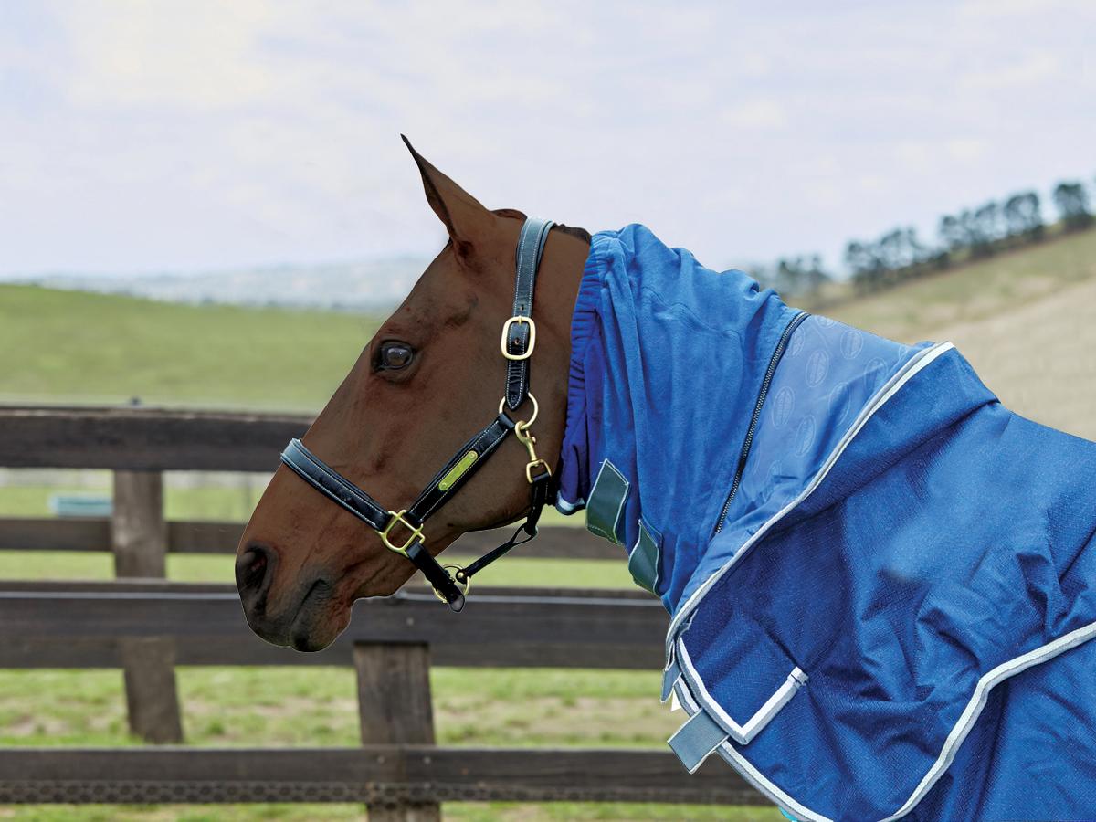 Weatherbeeta Replacement Snug Fit Weatherbeeta New Zealand