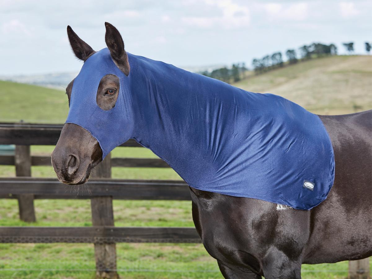Weatherbeeta Stretch Hood Weatherbeeta New Zealand