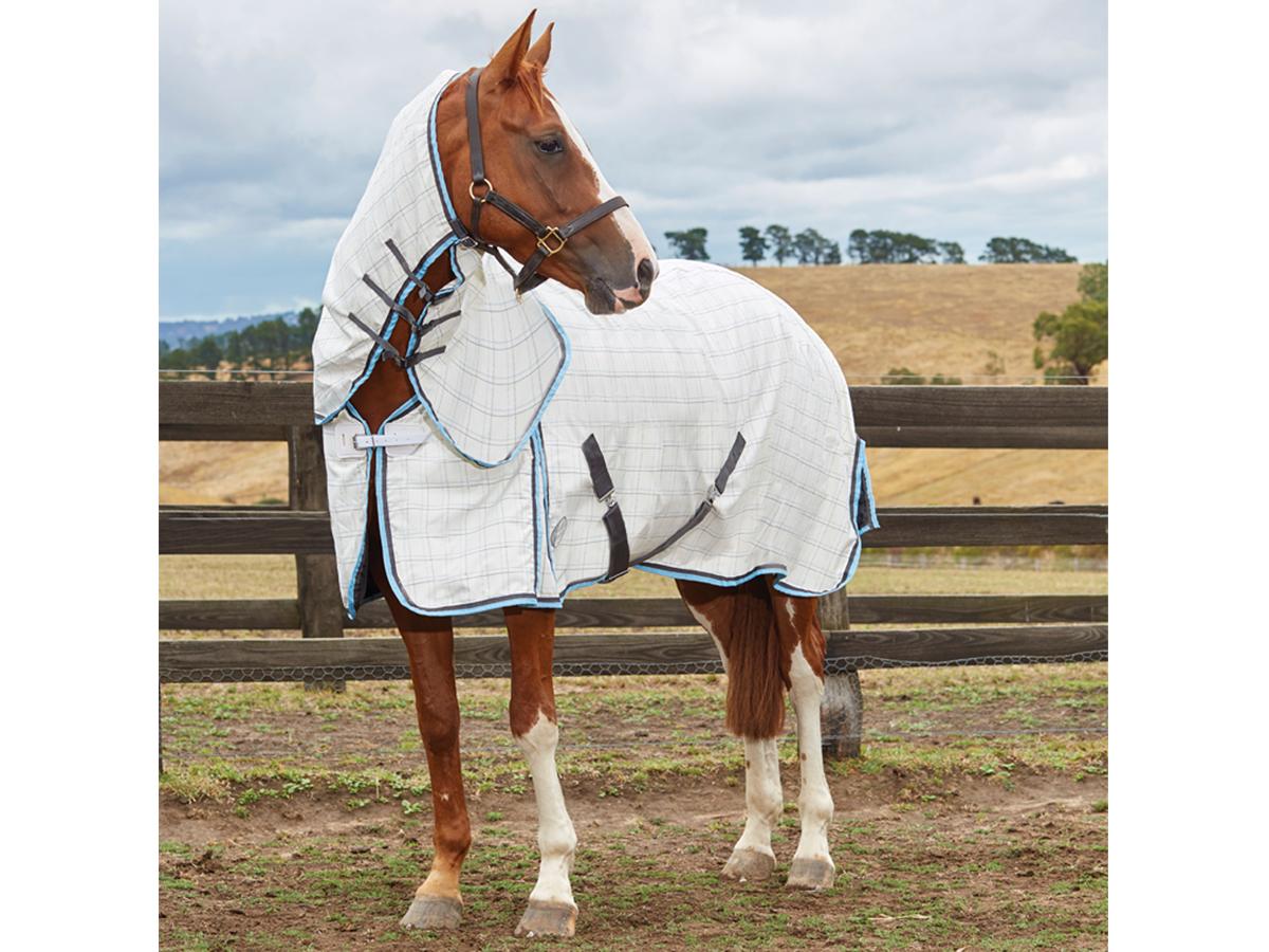 Weatherbeeta Summer Sheet Cotton Combo New Zealand Weatherbeeta Summer Sheet Cotton Combo Grey Light Blue