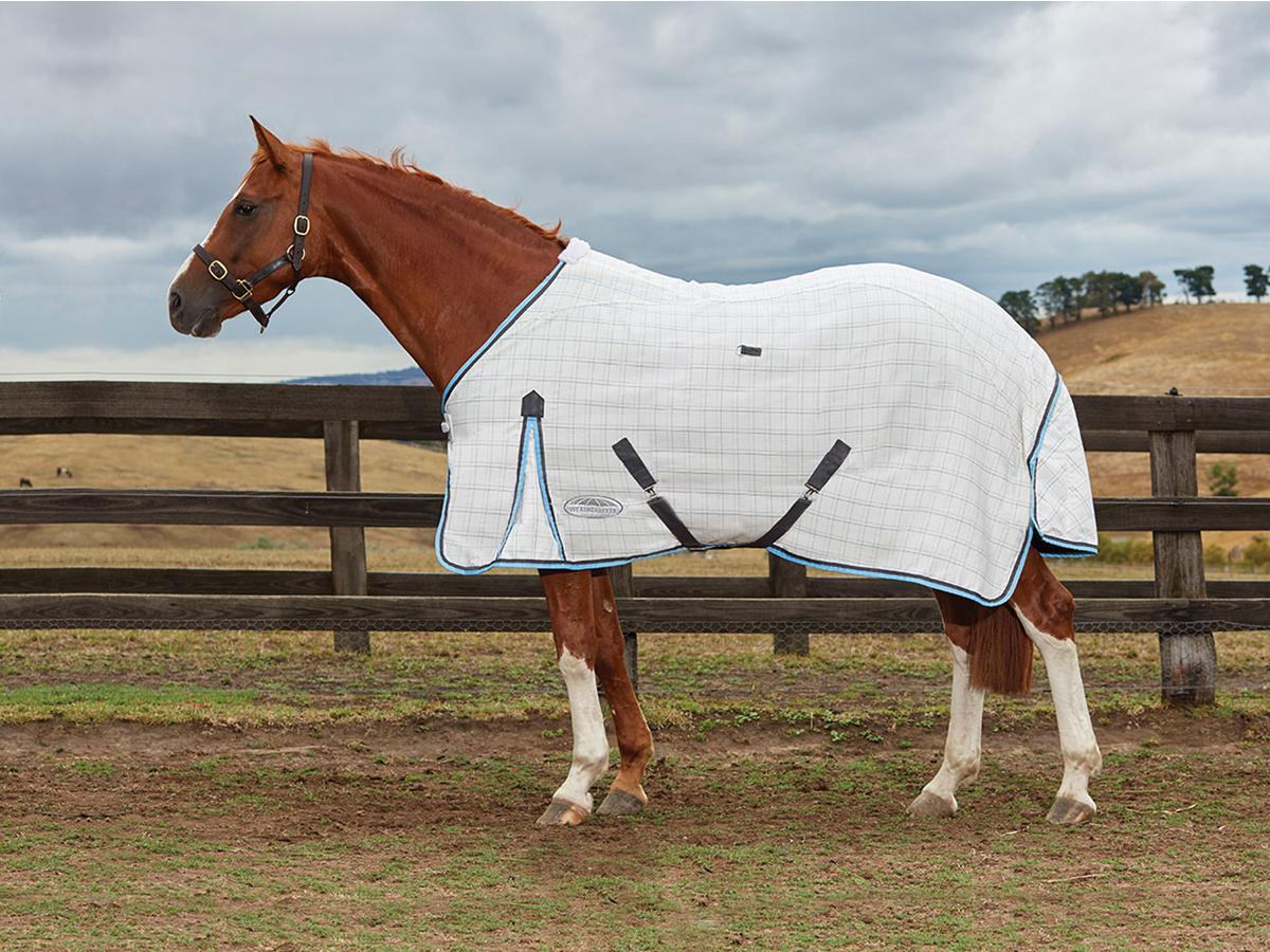 Weatherbeeta Summer Sheet Cotton Standard Neck Weatherbeeta New Zealand
