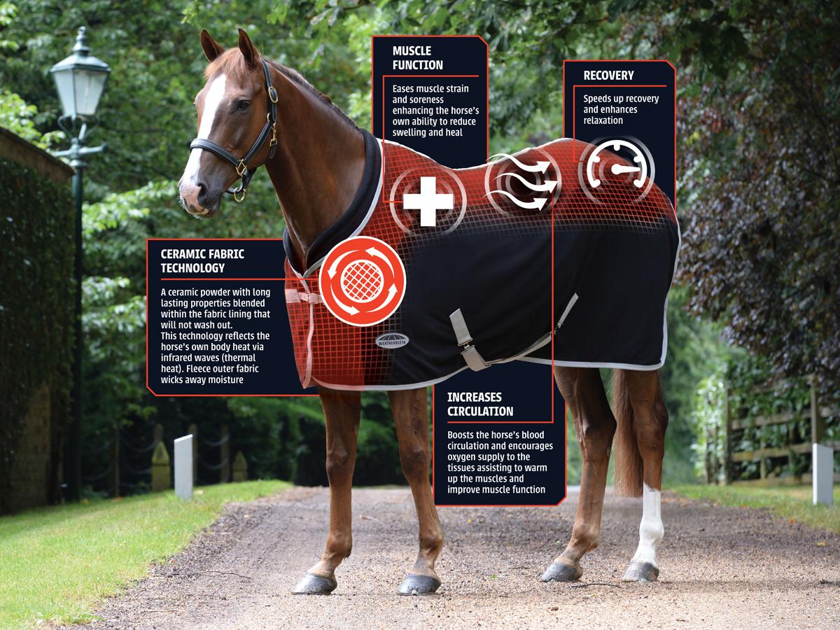 Weatherbeeta Therapy Tec Standard Neck Weatherbeeta New Zealand
