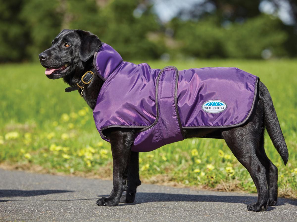 WEATHERBEETA WINDBREAKER 420D DELUXE DOG COAT Weatherbeeta New Zealand